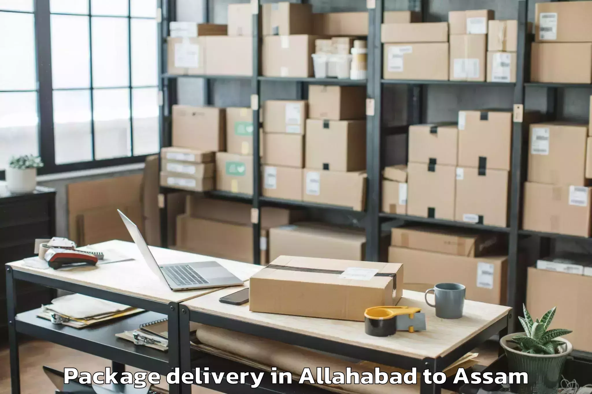 Reliable Allahabad to Laharighat Package Delivery